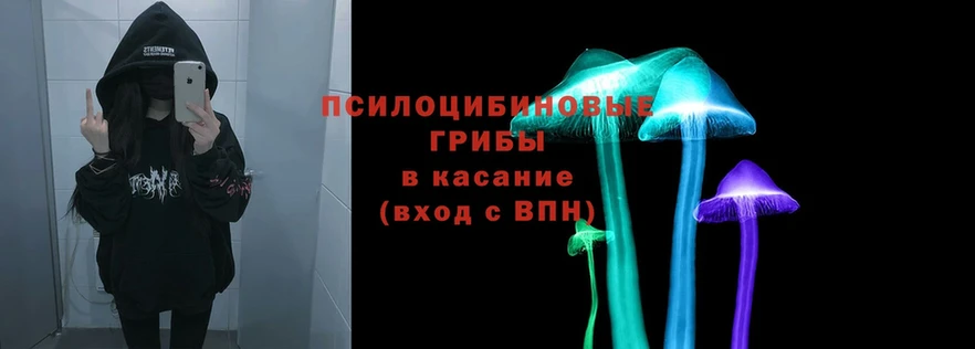 Псилоцибиновые грибы Psilocybe  KRAKEN как войти  Курганинск 